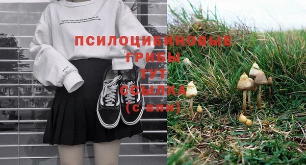 PSILOCYBIN Армянск