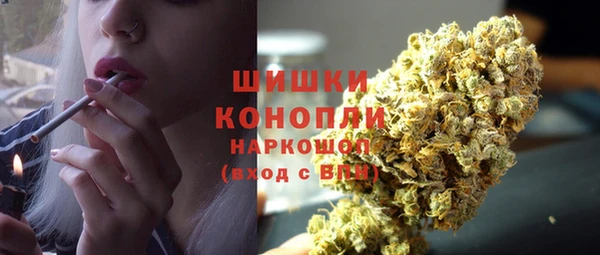 PSILOCYBIN Армянск