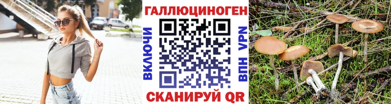 ОМГ ОМГ ссылка  Шумерля  Псилоцибиновые грибы GOLDEN TEACHER 